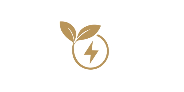 A simple brown icon of a plant with two leaves growing from a circular stem, featuring a lightning bolt inside the circle.